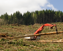 Tips To Buy the Right Hydroponics Equipment and Supplies