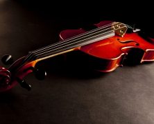 2 Things to Look for When Choosing Your First Double Bass Instrument in Wilmington, NC