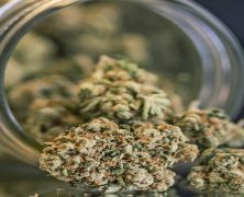 Weed in Huntington Beach: Making the World a More Painless Place to Live