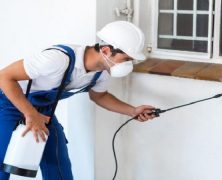 The Advantages that Home and Pest Inspections Can Bring