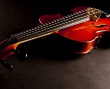 Tips for Bass Restoration in St. Petersburg, FL