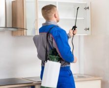 Make Newcastle Pest Control Easy with Help from Experts in Extermination