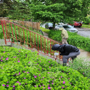 Enhance Your Outdoor Space with Patio Fountains in Minnetonka, MN.