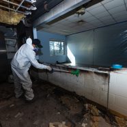 Why Crawl Space Mold Remediation in Peachtree City, GA Protects Your Home and Health Now