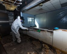 Why Crawl Space Mold Remediation in Peachtree City, GA Protects Your Home and Health Now