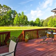 Achieve a Lush Lawn with Expert Weed Control For Lawns, Bartlett, TN Homeowners Trust