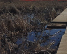 Transform Your Outdoor Space With Megadeck Solutions Perfect for American Backyards