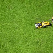 Enhance curb appeal with lawn service in Germantown, TN, for a greener home