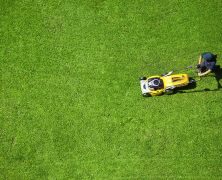 Enhance curb appeal with lawn service in Germantown, TN, for a greener home