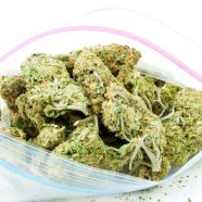 Experience Convenience When You Buy THCA Extracts Online for Pure Potency and Freshness